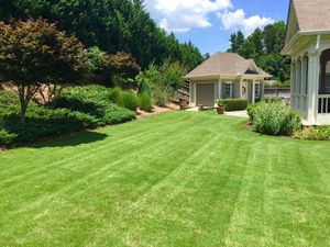 Our Shrub Trimming service ensures that your shrubs are perfectly shaped and maintained, enhancing the overall aesthetics of your outdoor space. for Vivid Color Landscapes, LLC in Woodstock, GA