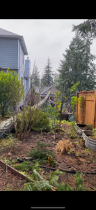 Our Hazard Removals service ensures a safe and pristine environment by expertly handling fall and spring clean up, eliminating debris and potential hazards for a cleaner, safer home landscape. for Kimberley’s Trees in Saint Maries, ID