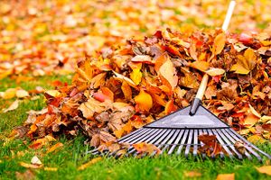 When the time of year comes for leaves to fall, we are here to ensure your property remains clean. for Weimer Cleaning Service in Charlotte, TN