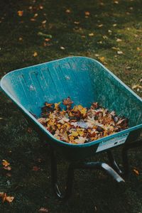 Our Leaf Removal service efficiently clears leaves from your property, complementing our comprehensive tree trimming and removal services to enhance your lawn's health and aesthetics year-round. for Drake Lawn Care in Atlanta, GA