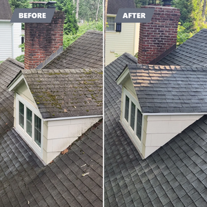 Our Roof Cleaning service effectively removes dirt, moss, and debris from your roof using safe and efficient techniques to enhance the appearance and extend its lifespan. for READY SET POWER WASHING AND RESTORATION in Essex County, NJ