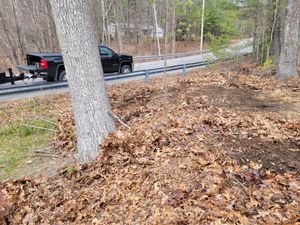 Our fall and spring clean up service ensures your lawn stays healthy by removing debris, aerating the soil, and preparing your yard for vibrant growth through both seasons. for Metro Landscaping in Derry Village, NH