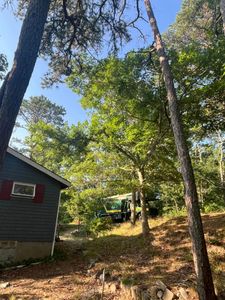 Our professional Tree Trimming service will enhance the aesthetic appeal and overall health of your trees, ensuring we thrive for years to come while mitigating potential hazards. for Native Roots Tree Service in Falmouth, MA