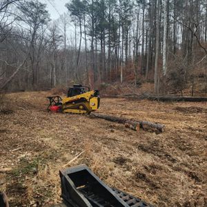 Our land clearing services efficiently remove trees, stumps, and debris to prepare your property for construction, landscaping, or recreational projects. We also offer forestry mulching to help reclaim overgrown fields and fence lines. for Bennett Logging in Gosport, Indiana