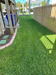 Our irrigation service ensures your landscape thrives by providing efficient water distribution, enhancing plant growth and vitality while conserving resources through customized systems tailored specifically for your property's unique needs. for Carolina Odd Jobs Inc. in Sneads Ferry, NC