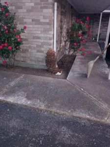 Our Retaining Walls Service is a comprehensive landscaping package designed to make your outdoor space look beautiful and inviting. Let us help you create the perfect garden for you! for The I AM Services in Houston, TX