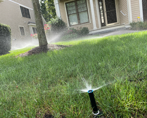 Yes your neighbors grass is greener than yours, because they had their system maintenance. There is no need to have lawn envy, allow our team of professionals to take care of your system! for F Carias Irrigation Specialist INC in Southborough, MA