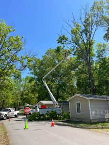 Our Storm and Disaster Emergency Services offer rapid response to safely remove fallen trees and debris, protecting your property from further damage while ensuring swift restoration after severe weather events. for Big Rock Tree Removal LLC in Boaz, AL