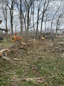 Our Demolition Services offer safe and efficient removal of unwanted structures while ensuring minimal disruption to your landscape. Trust our expert team for a clean slate that respects your property's integrity. for Pro Tree Trim & Removal, Llc in Dayton, OH