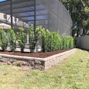 Enhance your outdoor living space with our custom screen enclosures, offering protection from pests and weather while allowing you to enjoy the beauty of nature in comfort and style. for King Kutz Landscaping in Apopka, FL