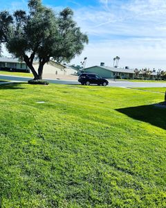 Our Fall Clean Up service includes leaf removal, lawn mowing, garden bed cleanup, and debris removal to prepare your yard for the winter season. Contact us today for a tidy outdoor space! for American Dream Landscape Company in Surprise, AZ