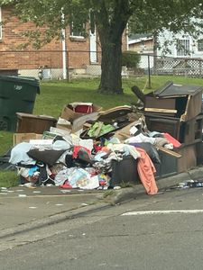 We provide professional illegal dump cleanup services for homeowners, removing hazardous materials and restoring your property to its original condition. for Major Men Junk Removal in Columbus, OH