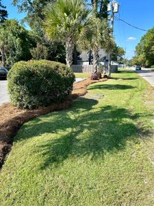 Our Shrub Trimming service expertly shapes and maintains your shrubs to enhance curb appeal, promote healthy growth, and ensure a neat landscape that complements your home's aesthetic. for Linhale Landscaping & Lawn Care in Florence, SC