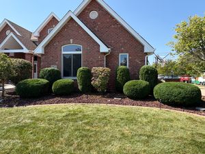 Our Pruning service offers precision trimming and shaping of trees, shrubs, and plants to enhance their health, aesthetics, and overall appearance in your garden or landscape. for From the Ground Up Landscaping & Lawncare in New Lenox, IL