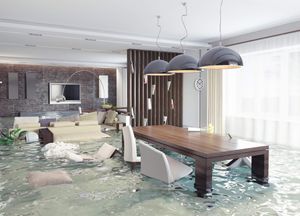 Our Water Damage service provides comprehensive solutions to homeowners facing water damage issues, ensuring prompt and efficient restoration while minimizing further damage and restoring the safety of your home. for Lakeview Masonry & Roofing in Boston, MA