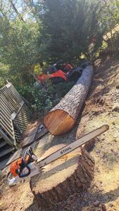 Our Tree Removal service offers safe, efficient removal of unwanted or hazardous trees from your property, improving safety and enhancing visibility while minimizing disruption to your landscape. Trust our skilled professionals for reliable results. for Sasquatch Tree Services LLC in Spartanburg, SC