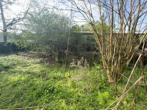 Enhance your property's appeal with our Minor Tree Service, offering expert trimming, pruning, and maintenance to ensure healthy growth while improving safety and aesthetic charm for your home’s landscape. for D&D Services of Pensacola in Pensacola, FL