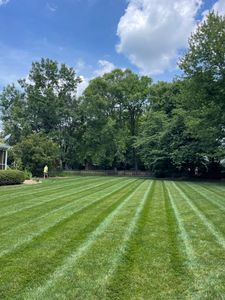 A big part of lawn maintenance is ensuring your lawn is regularly mowed. We know life gets busy, and we are here to help keep your lawn looking fresh. for Sunrise Lawn Care & Weed Control LLC in Simpsonville, SC