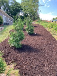 We provide Landscape Installation services to help you create and maintain beautiful outdoor spaces for your home. We can design, install and maintain a variety of landscapes that will add value to your property. for ULTIMATE LANDSCAPING in Wilkes County, NC