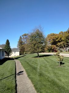 In addition to our professional tree services, we also offer comprehensive lawn care services to ensure your entire outdoor space maintains a healthy and vibrant appearance. for Billiter's Tree Service, LLC in Rootstown, Ohio