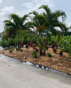 Tree trimming is a service that our landscaping near me company offers in order to keep trees looking their best. We will come to your property and trim the branches of your trees so they are shaped in a way that looks good and is safe. for Green Touch Property Maintenance in Broward County, FL