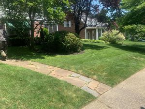 Our Shrub Trimming service is a great way to keep your bushes looking their best. We'll trim them into shape and make sure we're healthy and thriving. for Ronny's Lawn Care in Augusta, GA