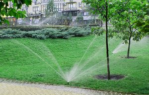 We offer a comprehensive Irrigation System Design service to help you create and maintain an efficient irrigation system for your outdoor space. for Advanced Irrigation Services LLC in Moyock, NC