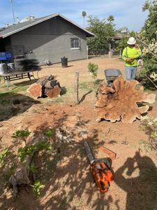 Our Stump Removal service efficiently eliminates unwanted stumps, enhancing your landscape's appearance and safety. Trust our skilled team to clear debris with minimal disruption, leaving your yard pristine and ready for new possibilities. for Loya's Tree Trimming and Removal in Glendale, AZ