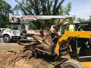 Our Dead Wooding service involves the removal of dead branches from trees, enhancing their health and appearance while minimizing the risk of falling limbs. for Pro Tree Trim & Removal, Llc in Dayton, OH