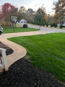 Our Weed Control service helps control unwanted weeds from your lawn, ensuring a healthy and vibrant yard that enhances the beauty of your home. for Earth First Turf, LLC in Woodstock, GA