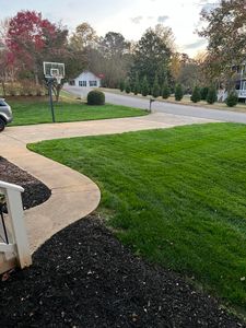 Our Weed Control service helps control unwanted weeds from your lawn, ensuring a healthy and vibrant yard that enhances the beauty of your home. for Earth First Turf, LLC in Cherokee County, GA