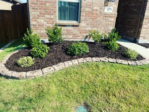 Enhance your landscape with our professional flowerbed clean up and mulch installation service, providing a polished look while improving soil health, retaining moisture, and reducing weeds for a vibrant and well-maintained yard all year round. for Veterans Pride Enterprises LLC in Denton, Texas