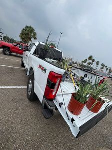 Enhance your home's beauty with our expert planting service, specializing in trees. Our skilled team ensures proper placement and care for healthier landscapes that add value and charm to your property. for AllStar Scapes in Edinburg, TX
