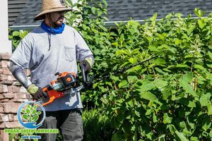Our Shrub Trimming service ensures your shrubs are expertly shaped and maintained for year-round beauty, enhancing curb appeal while promoting healthy growth in your landscape. Trust our skilled team to refresh your outdoor space. for Urban Green Lawncare & Snow Removal in Lakeville, MN