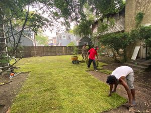 Our edging service provides a clean and neat look to your yard by trimming grass, bushes, and other plants for an attractive boundary. for Outlaw Landscaping & Transport Company in Houston, TX