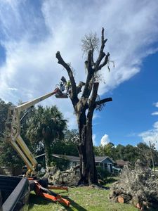 Our Emergency Storm Services provide swift, professional response to storm-damaged trees, ensuring safety and minimizing property risks with expert assessment, tree removal, and debris cleanup for your peace of mind. for All Around Guys Tree Service in Ocala, FL
