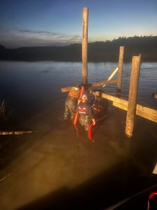 Enhance your waterfront property with our expert Water Docks service—offering custom design and professional installation for durable and attractive docks that perfectly complement your home while maximizing functionality and safety. for Carolina Odd Jobs Inc. in Sneads Ferry, NC