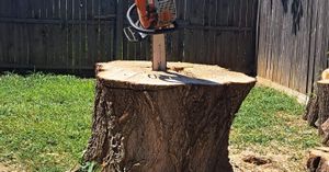 We provide professional stump removal services to get rid of unsightly stumps in your yard. Our experienced team will quickly and efficiently remove the stump without damaging your lawn. for Chico's Tree Service in Dallas, TX