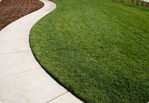 Our professional mowing service ensures a pristine lawn with precise cutting techniques, regular maintenance schedules, and careful attention to detail, enhancing your home's curb appeal and providing a lush outdoor space. for Lawn Dogz Lawns & Landscaping in Tampa, FL