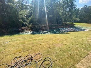 Our Sod Work service offers homeowners an efficient and hassle-free solution for achieving a lush, green lawn by professionally installing fresh sod with expertise and precision. for Holland Hydroseeding LLC in Columbia, MS