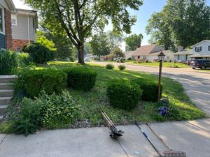 Our expert Shrub Trimming service will keep your landscape looking neat and tidy. Let us shape and prune your shrubs to enhance their health, appearance, and overall curb appeal. for Greenlee & Family Landscaping Services in Peoria, IL