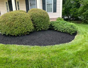 Our Shrub Trimming service enhances your home's curb appeal by expertly shaping and maintaining shrubs, ensuring healthy growth and a polished landscape that complements your outdoor environment. for Walsh Lawn And Landscape in Olney, MD