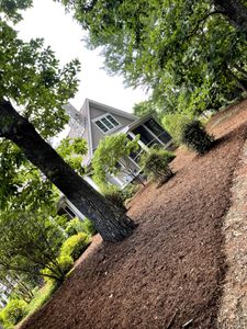 Our Mulch Pine Needles service offers homeowners a cost-effective and visually appealing option to enhance their landscape by providing quality pine needle mulching for added beauty and weed control. for Hipp's Land Management in Tryon, NC