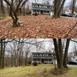 Prepare your yard for the winter with our Fall Clean Up service! Our experienced team will clear leaves and debris to maintain a clean and healthy outdoor space for your home this season. for LJ Lawn & Property Maintenance, Inc. in Cold Spring, New York