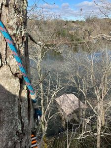 Our Tree Cabling service enhances tree stability and safety, supporting weakened branches while preserving their beauty. Combine with professional tree trimming to ensure robust health and longevity for your trees. for Tree Fellers in Sumner County, TN