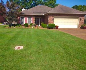 Our lawn fertilization service ensures the health and vitality of your lawn by providing essential nutrients that promote growth, color, and overall strength. for Freedom Works Lawnscaping in Dyer County, Tennessee