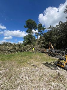Discover "what is land clearing" with our expert service, transforming overgrown or wooded areas into usable space while enhancing property value and ensuring safety for future landscaping projects. for All Around Guys Tree Service in Ocala, FL