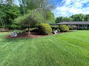 Our Shrub Trimming service ensures your plants remain healthy and beautiful, expertly shaping them for optimal growth while enhancing your landscape's overall appearance and maintaining a neat, polished look. for CG’s Enterprises in Concord, NC