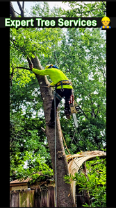 ⚠️ Dangerous or leaning tree? We provide fast, licensed, and insured tree removal to protect your home, roof, fence, and family. Emergency same-day service available. for Guzman's Landscaping Services in Austin, TX