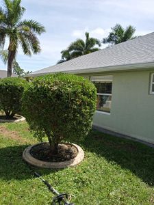 The Shrub Trimming service provides a hardworking, reasonable price, and attention to detail for all of your shrub trimming needs. We take pride in our work and will do everything we can to make sure you are happy with the results. for Unity Maintenance & More LLC in Englewood, FL